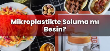 Mikroplastikte Soluma mı Besin?