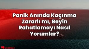 Panik Anında Kaçınma Zararlı mı, Beyin Rahatlamayı Nasıl Yorumlar?