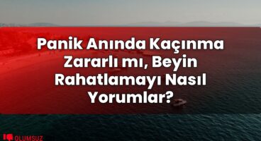 Panik Anında Kaçınma Zararlı mı, Beyin Rahatlamayı Nasıl Yorumlar?