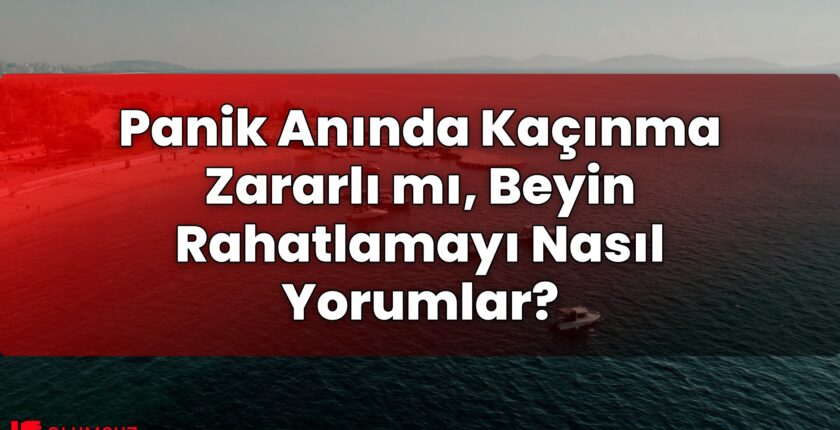 Panik Anında Kaçınma Zararlı mı, Beyin Rahatlamayı Nasıl Yorumlar?