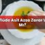 Reflüde Asit Azsa Zarar Var Mı?