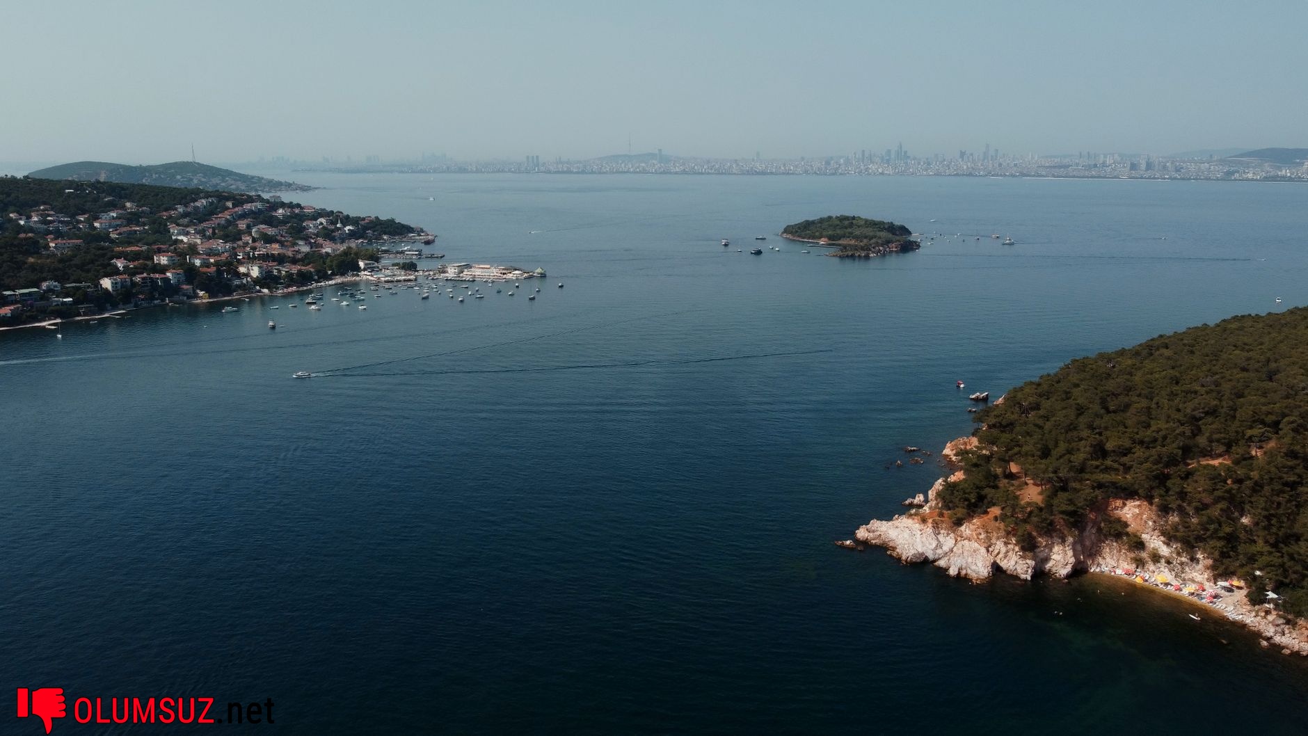 Şekersiz tatlandırıcıların sakızda kullanımı görseli