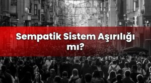 Sempatik Sistem Aşırılığı mı?