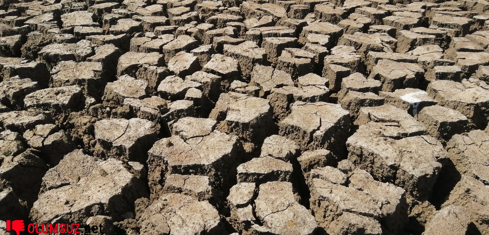 Diş çürüğü riski anlatımı, tükürük azlığı görseli