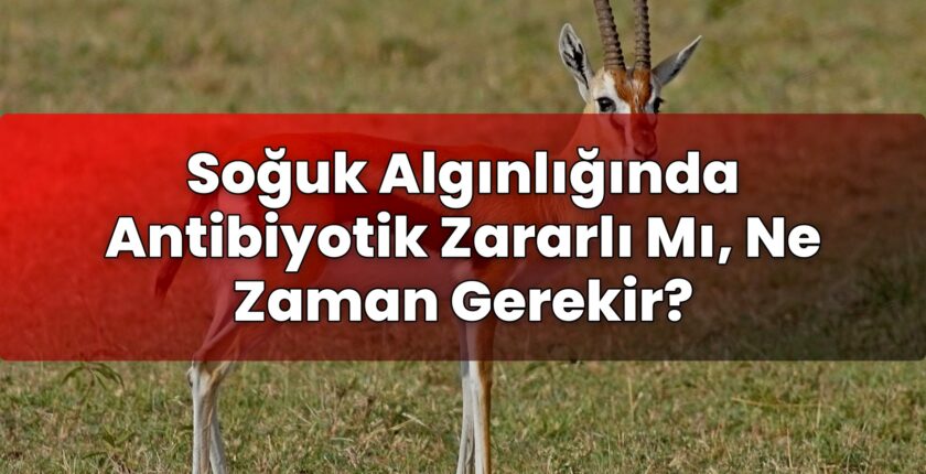 Soğuk Algınlığında Antibiyotik Zararlı Mı, Ne Zaman Gerekir?