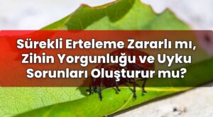 Sürekli Erteleme Zararlı mı, Zihin Yorgunluğu ve Uyku Sorunları Oluşturur mu?