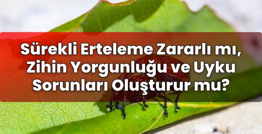 Sürekli Erteleme Zararlı mı, Zihin Yorgunluğu ve Uyku Sorunları Oluşturur mu?