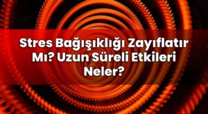 Stres Bağışıklığı Zayıflatır Mı? Uzun Süreli Etkileri Neler?