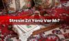 Stresin Zıt Yönü Var Mı?