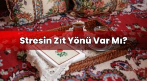 Stresin Zıt Yönü Var Mı?