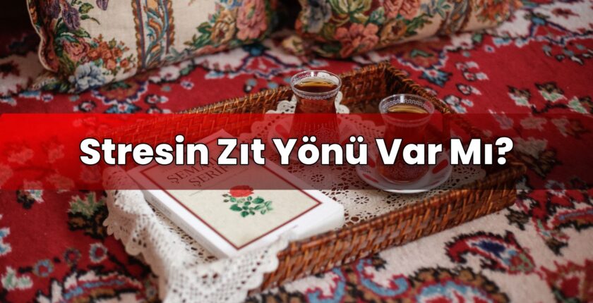 Stresin Zıt Yönü Var Mı?