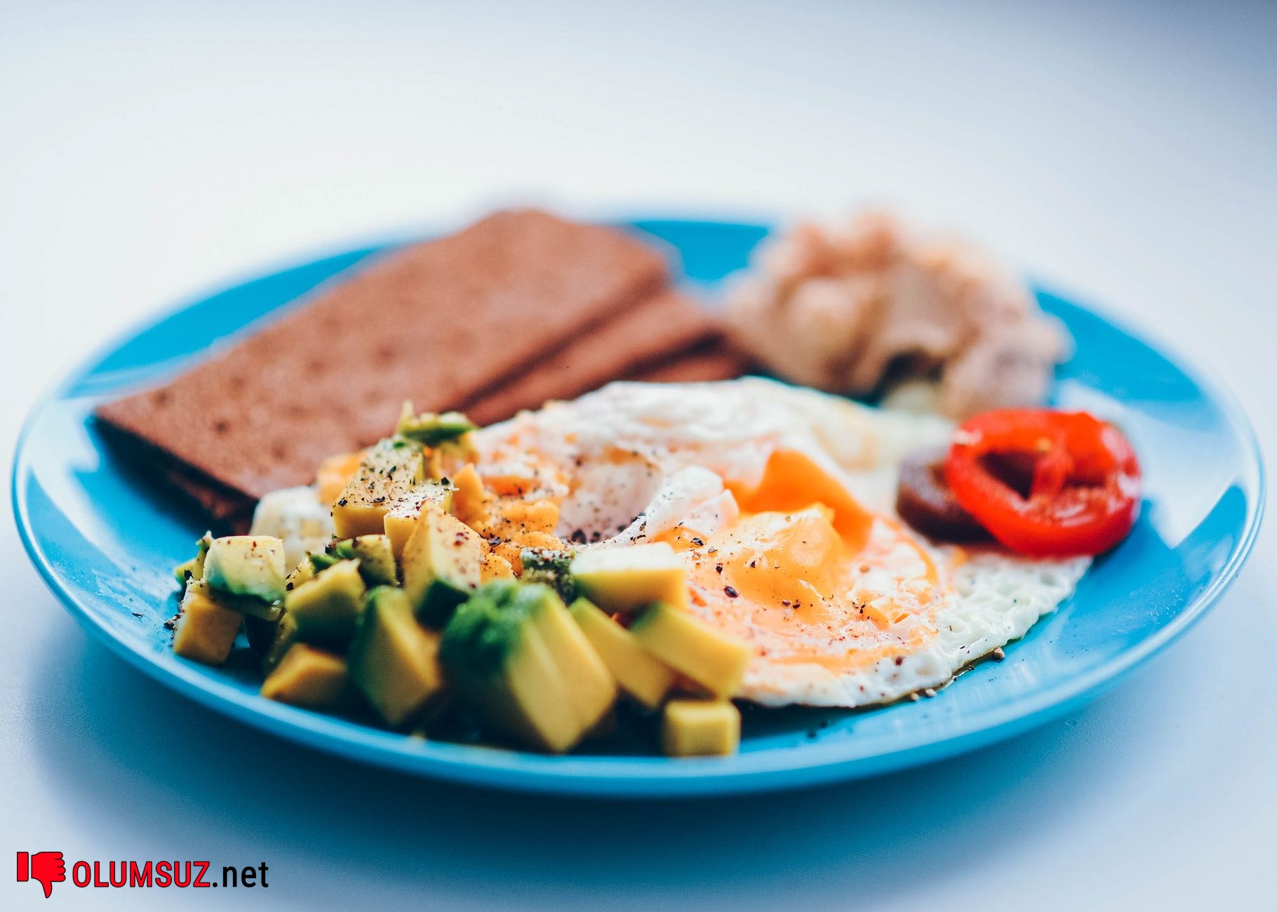 Protein diyetinde dengeli beslenme ve zıt sonuçlar