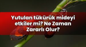 Yutulan tükürük mideyi etkiler mi? Ne Zaman Zararlı Olur?