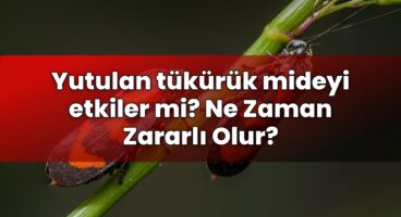 Yutulan tükürük mideyi etkiler mi? Ne Zaman Zararlı Olur?