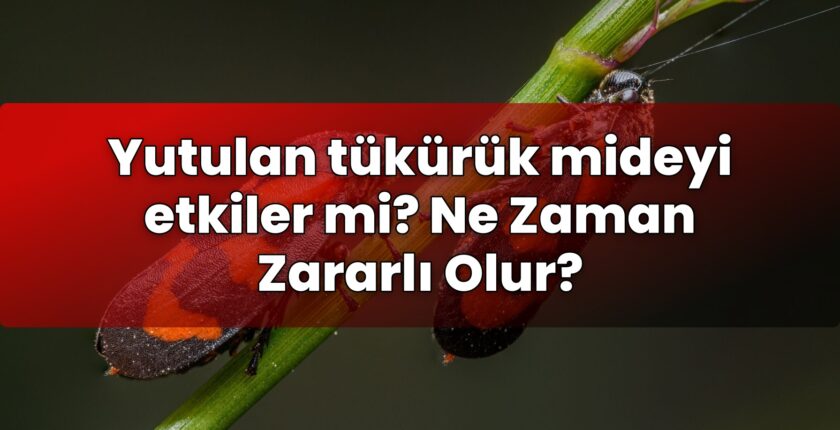 Yutulan tükürük mideyi etkiler mi? Ne Zaman Zararlı Olur?