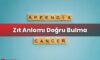 Zıt Anlamı Doğru Bulma
