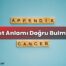 Zıt Anlamı Doğru Bulma