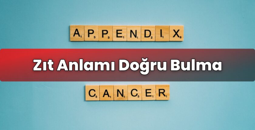 Zıt Anlamı Doğru Bulma
